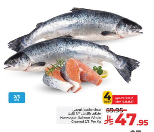 Fresh Fish in LULU Hypermarket, Saudi Arabia Offers - Saudi Arabia available at LULU Hypermarket in KSA, Saudi Arabia, Saudi - Tabuk