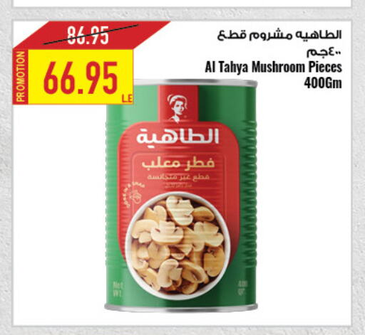 Canned & Packeted in Oscar Grand Stores , Egypt Offers - Egypt Mushroom available at Oscar Grand Stores in Egypt - Cairo