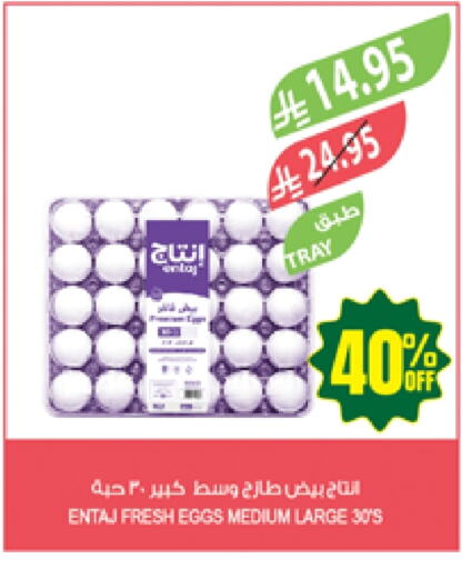 Eggs in Farm , Saudi Arabia Offers - Saudi Arabia available at Farm in KSA, Saudi Arabia, Saudi - Al Hasa