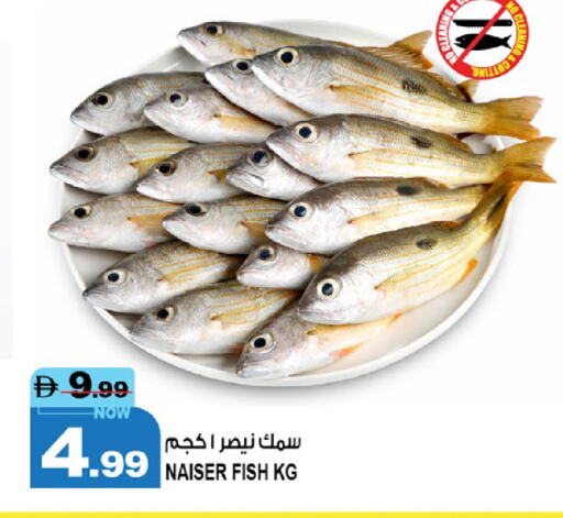 الأسماك الطازجة in هاشم هايبرماركت, UAE Offers - الإمارات العربية المتحدة available at هاشم هايبرماركت in الإمارات العربية المتحدة , الامارات - الشارقة / عجمان