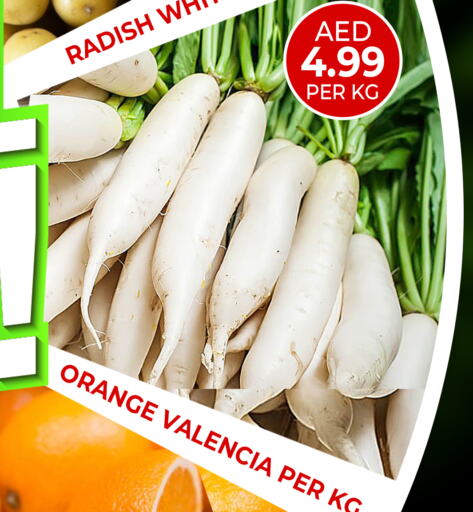 Orange available at Daylife Hypermarket LLC in UAE - Dubai
