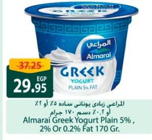 Yogurt & Labneh in Spinneys , Egypt Offers - Egypt ALMARAI Greek Yoghurt available at Spinneys in Egypt - Cairo