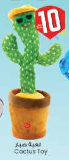 available at City Flower in KSA, Saudi Arabia, Saudi - Hail