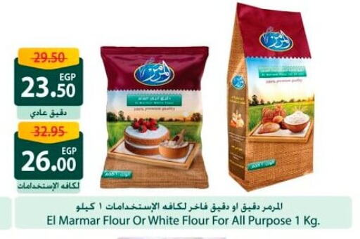 All Purpose Flour available at Spinneys  in Egypt - Cairo