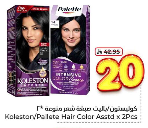 العناية بالشعر in هايبر الوفاء, المملكة العربية السعودية Offers - المملكة العربية السعودية باليت صبغة شعر available at هايبر الوفاء in مملكة العربية السعودية, السعودية, سعودية - الرياض