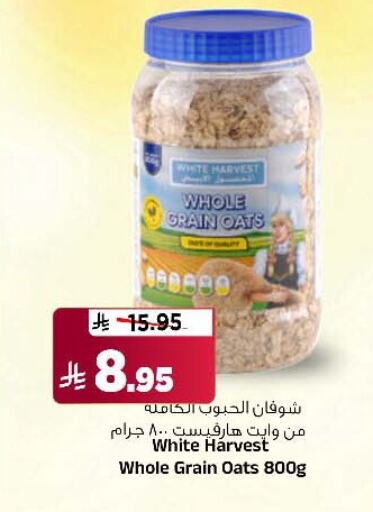 الحبوب والقطع in المدينة هايبرماركت, المملكة العربية السعودية Offers - المملكة العربية السعودية الشوفان available at المدينة هايبرماركت in مملكة العربية السعودية, السعودية, سعودية - الرياض