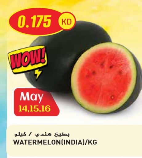 بطيخ from India available at جراند هايبر in الكويت - محافظة الأحمدي