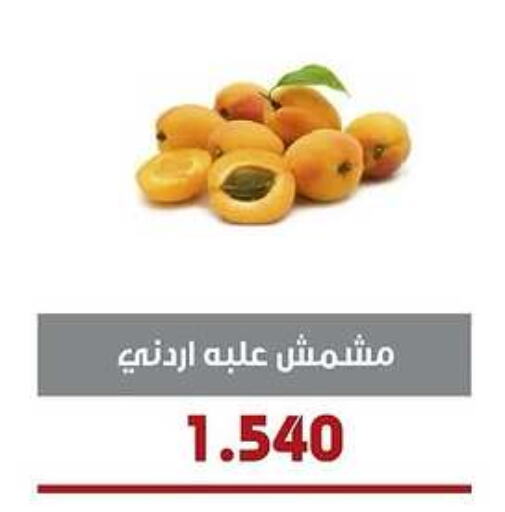 available at Al- Surra Cooperative Society in Kuwait - Kuwait City