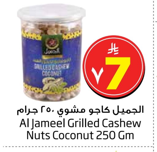 Dried Fruits & Dates in Layan Hyper, Saudi Arabia Offers - Saudi Arabia Coconut available at Layan Hyper in KSA, Saudi Arabia, Saudi - Al Khobar