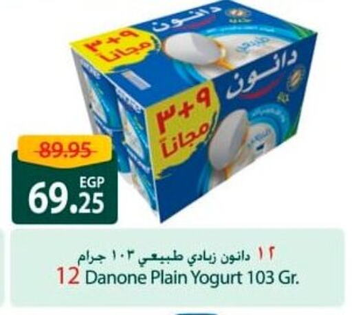 DANONE Yoghurt available at Spinneys  in Egypt - Cairo