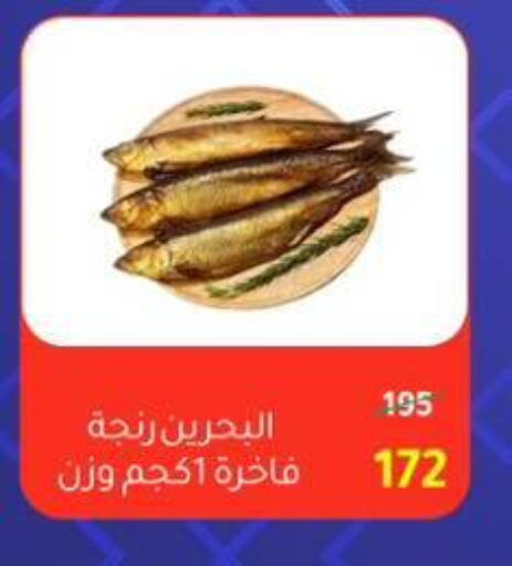 available at Wekalet Elmansoura - Dakahlia  in Egypt - Cairo