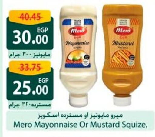 Sauces & Spreads in Spinneys , Egypt Offers - Egypt Mayonnaise available at Spinneys in Egypt - Cairo