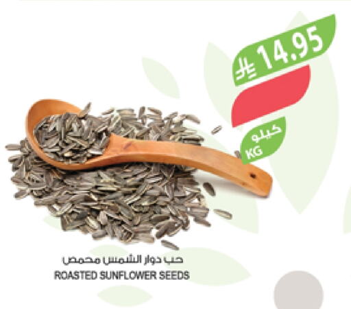Pulses, Beans & Grains in Farm , Saudi Arabia Offers - Saudi Arabia available at Farm in KSA, Saudi Arabia, Saudi - Najran
