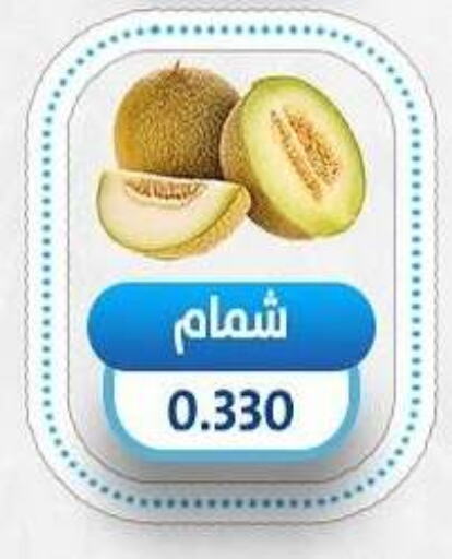 Sweet melon available at Salmiya Co-op Society in Kuwait - Kuwait City