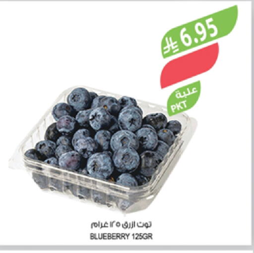 Fresh Fruits in Farm , Saudi Arabia Offers - Saudi Arabia Berries available at Farm in KSA, Saudi Arabia, Saudi - Najran