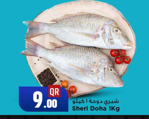available at مرزا هايبرماركت in قطر - الخور