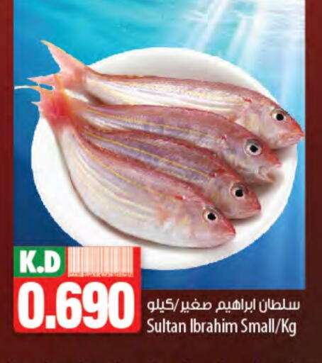Fresh Fish in Mango Hypermarket , Kuwait Offers - Kuwait Mango available at Mango Hypermarket in Kuwait - Jahra Governorate