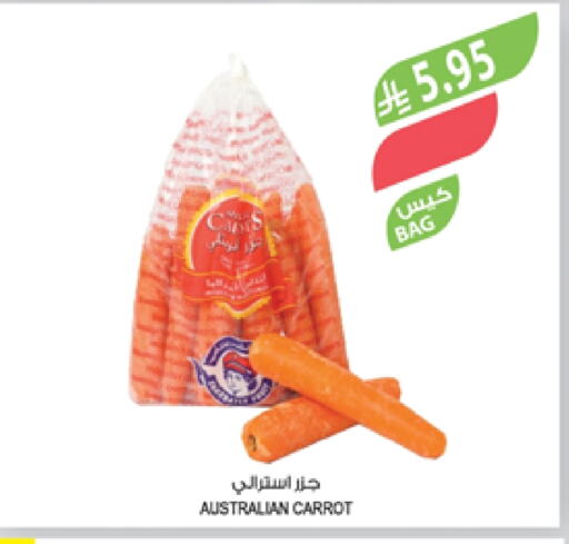 Fresh Vegetables in Farm , Saudi Arabia Offers - Saudi Arabia Carrot from Australia available at Farm in KSA, Saudi Arabia, Saudi - Najran