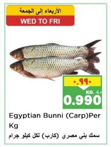 Fresh Fish in Nesto Hypermarkets, Kuwait Offers - Kuwait available at Nesto Hypermarkets in Kuwait - Ahmadi Governorate