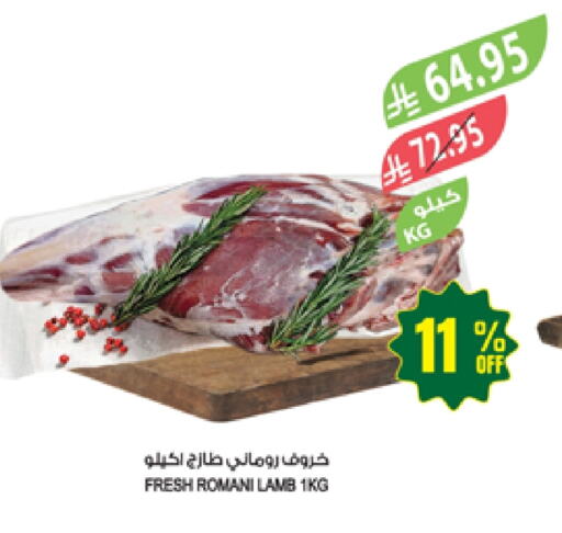 Meat - Fresh & Chilled in Farm , Saudi Arabia Offers - Saudi Arabia Mutton / Lamb available at Farm in KSA, Saudi Arabia, Saudi - Najran