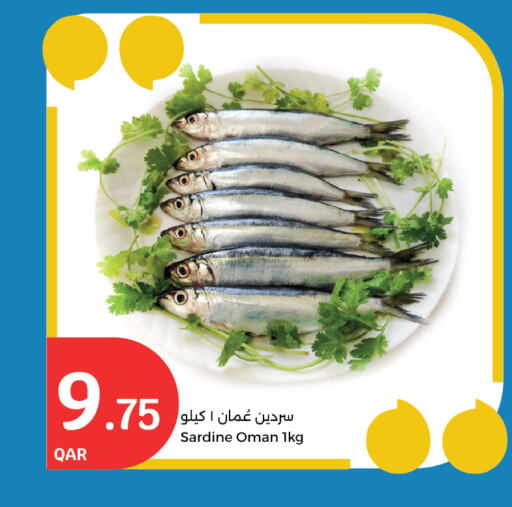 available at سيتي هايبرماركت in قطر - الريان