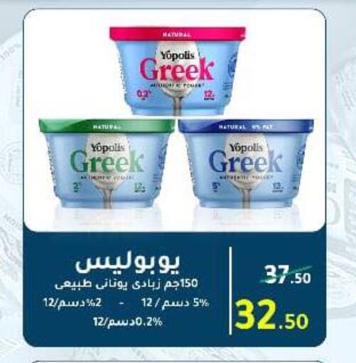 Greek Yoghurt available at Wekalet Elmansoura - Dakahlia  in Egypt - Cairo