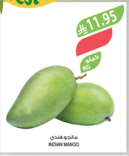 Fresh Fruits in Farm , Saudi Arabia Offers - Saudi Arabia Mangoes from India available at Farm in KSA, Saudi Arabia, Saudi - Qatif