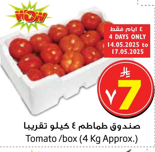 Tomato available at Layan Hyper in KSA, Saudi Arabia, Saudi - Al Khobar