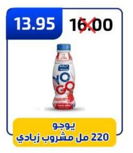 زبادي available at وكالة المنصورة - الدقهلية‎ in Egypt - القاهرة