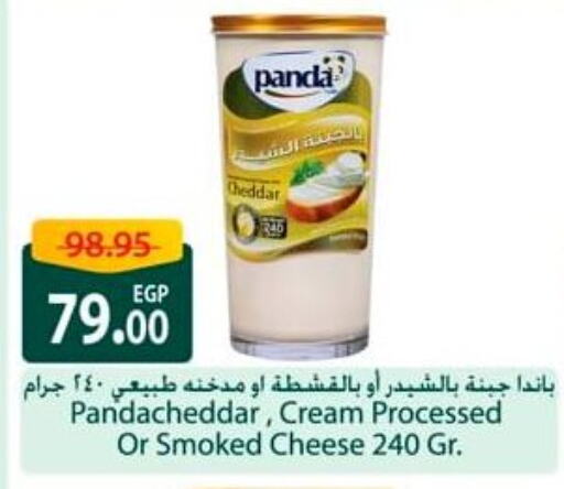 بنده جبنة الشيدر available at سبينس in Egypt - القاهرة