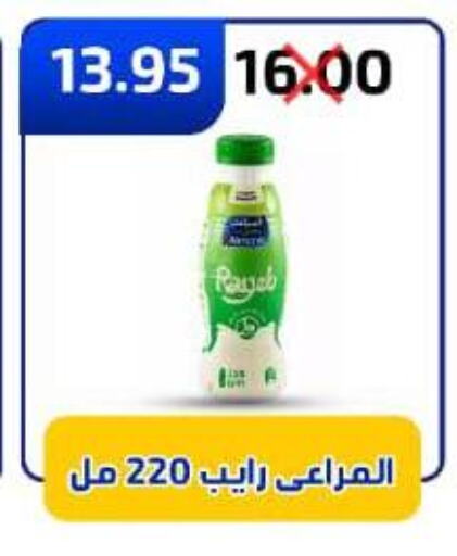 Milk & Laban in Wekalet Elmansoura - Dakahlia , Egypt Offers - Egypt ALMARAI available at Wekalet Elmansoura - Dakahlia in Egypt - Cairo