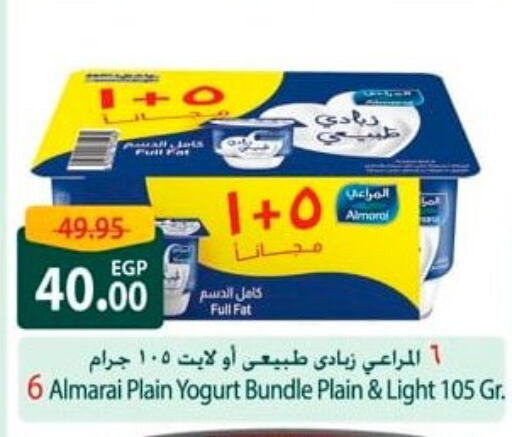 Yogurt & Labneh in Spinneys , Egypt Offers - Egypt ALMARAI Yoghurt available at Spinneys in Egypt - Cairo