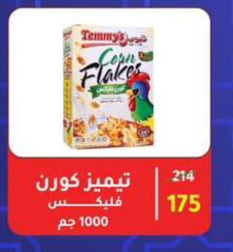 تيميز available at وكالة المنصورة - الدقهلية‎ in Egypt - القاهرة