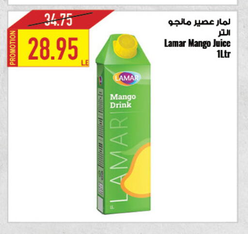 Mango available at Oscar Grand Stores  in Egypt - Cairo