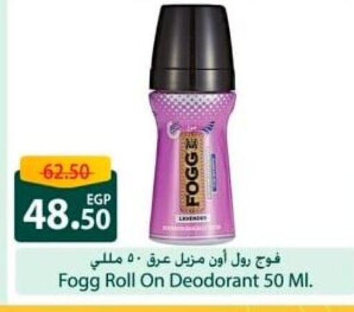 Fragrance in Spinneys , Egypt Offers - Egypt FOGG available at Spinneys in Egypt - Cairo