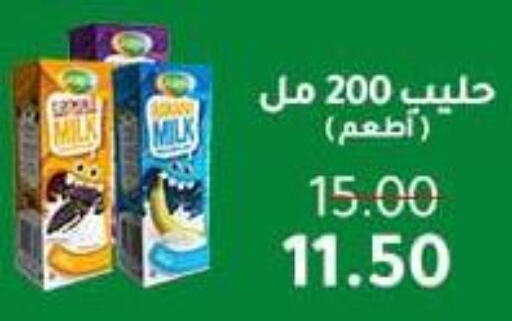 Milk & Laban in Wekalet Elmansoura - Dakahlia , Egypt Offers - Egypt available at Wekalet Elmansoura - Dakahlia in Egypt - Cairo