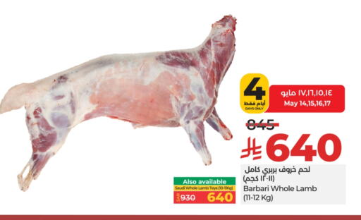 لحم الضأن / الغنم available at لولو هايبرماركت in مملكة العربية السعودية, السعودية, سعودية - حائل‎