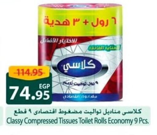 Toilet & Paper Tissue in Spinneys , Egypt Offers - Egypt available at Spinneys in Egypt - Cairo