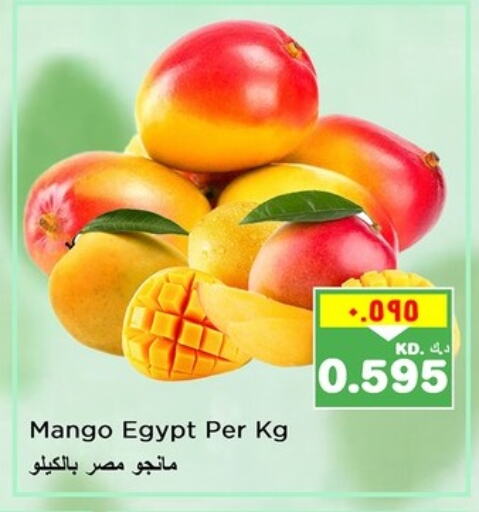 زيبا زيبا from Egypt available at نستو هايبر ماركت in الكويت - محافظة الأحمدي
