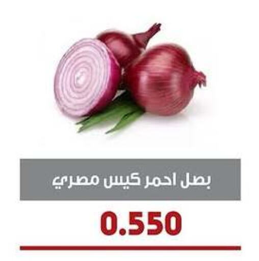 Onion available at Al- Surra Cooperative Society in Kuwait - Jahra Governorate