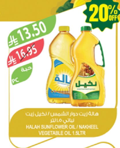 Sunflower Oil available at Farm  in KSA, Saudi Arabia, Saudi - Abha