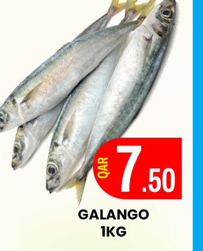 available at المجلس شوبينغ سنتر in قطر - الريان