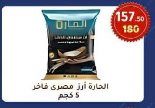 Rice in Wekalet Elmansoura - Dakahlia , Egypt Offers - Egypt Calrose Rice available at Wekalet Elmansoura - Dakahlia in Egypt - Cairo