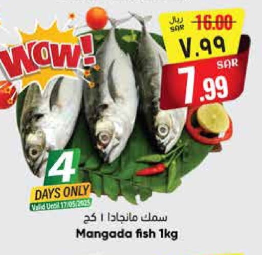 Fresh Fish in City Flower, Saudi Arabia Offers - Saudi Arabia available at City Flower in KSA, Saudi Arabia, Saudi - Sakaka