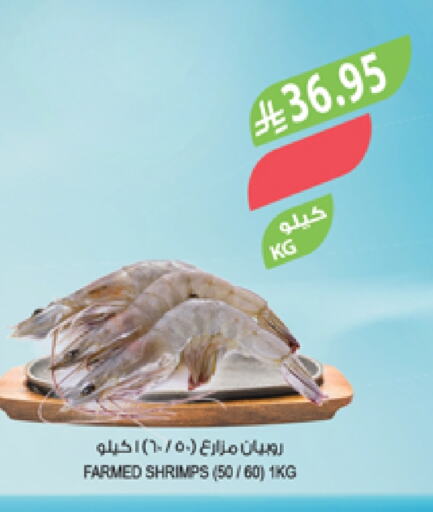 Fresh Fish in Farm , Saudi Arabia Offers - Saudi Arabia available at Farm in KSA, Saudi Arabia, Saudi - Sakaka