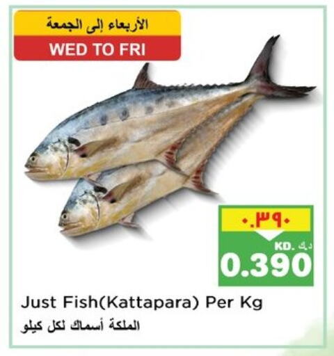 Fresh Fish in Nesto Hypermarkets, Kuwait Offers - Kuwait available at Nesto Hypermarkets in Kuwait - Ahmadi Governorate