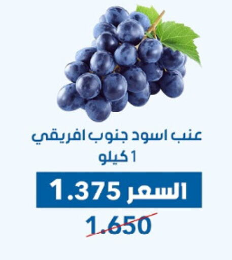 Fresh Fruits in Dahiyat Abdullah Al Salem and Mansourieh Cooperative Society, Kuwait Offers - Kuwait Grapes available at Dahiyat Abdullah Al Salem and Mansourieh Cooperative Society in Kuwait - Jahra Governorate