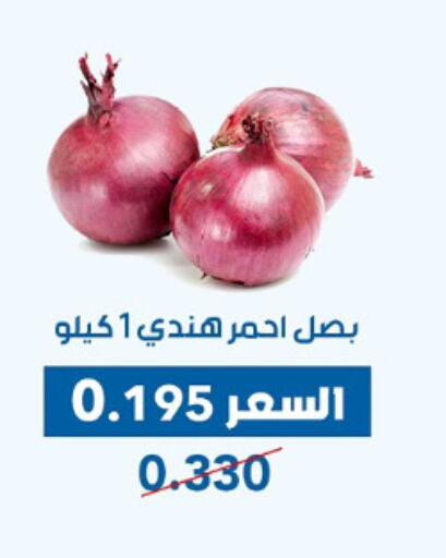 Fresh Vegetables in Dahiyat Abdullah Al Salem and Mansourieh Cooperative Society, Kuwait Offers - Kuwait Onion available at Dahiyat Abdullah Al Salem and Mansourieh Cooperative Society in Kuwait - Jahra Governorate