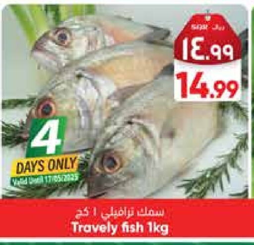 Fresh Fish in City Flower, Saudi Arabia Offers - Saudi Arabia available at City Flower in KSA, Saudi Arabia, Saudi - Sakaka