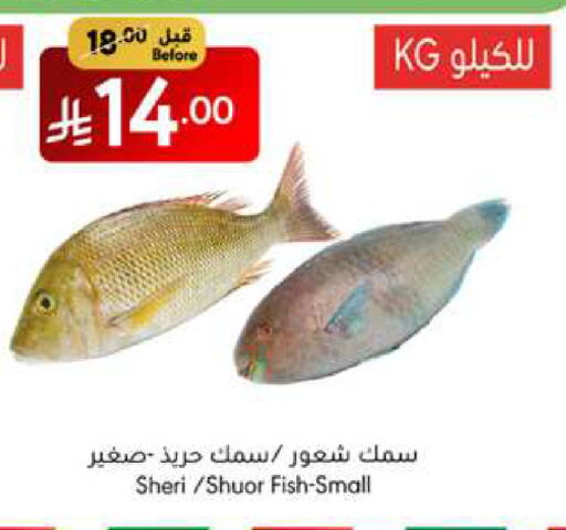 available at مانويل ماركت in مملكة العربية السعودية, السعودية, سعودية - جدة